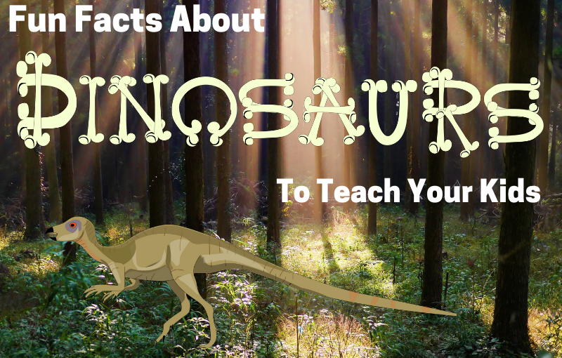 Barry-Brunswick-Fun-Facts-About-Dinosaurs-Teach-Your-Kids